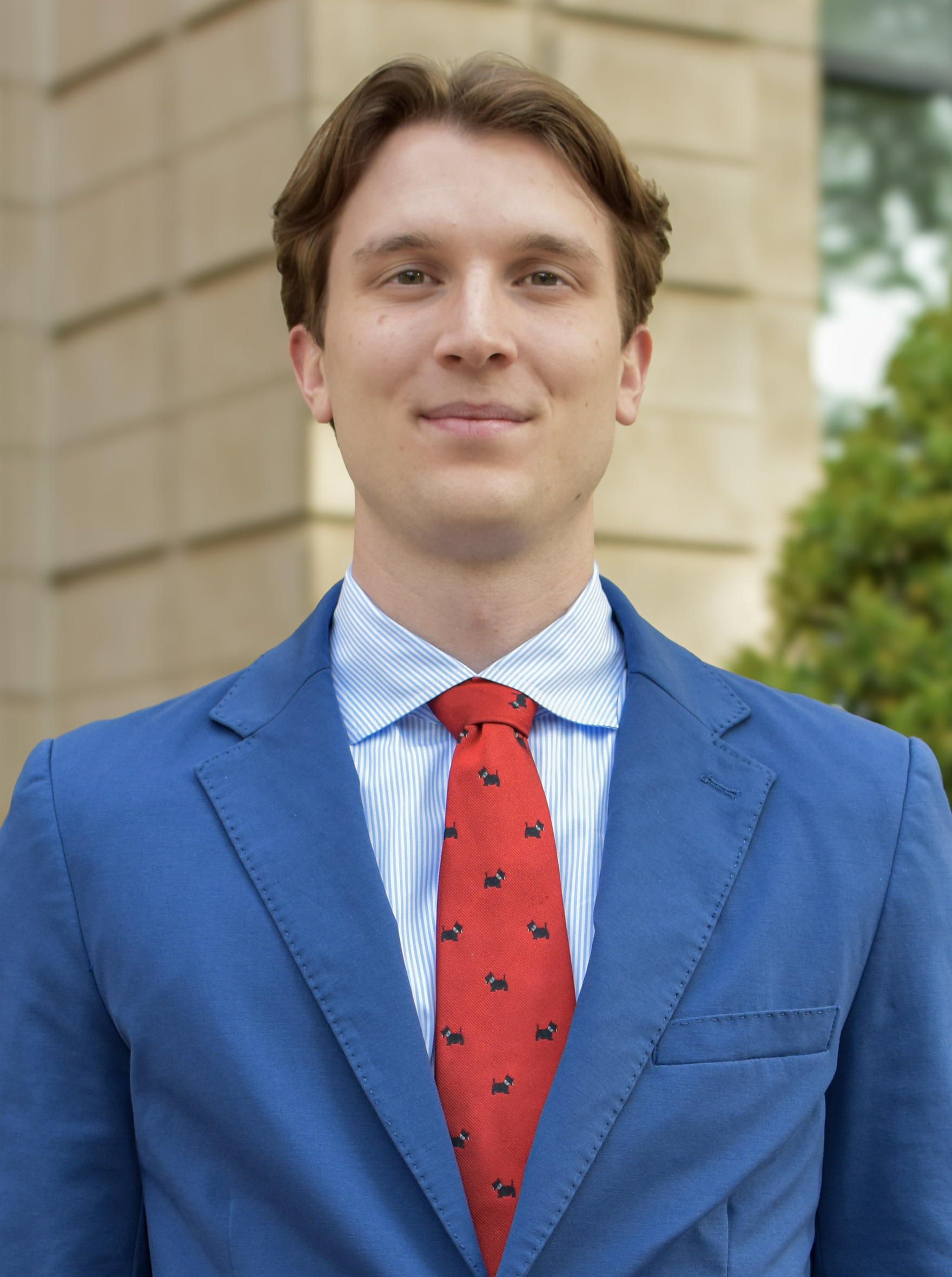 Business Intel Analyst