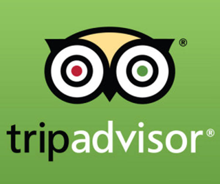 OTO Development Hotels Recognized by TripAdvisor